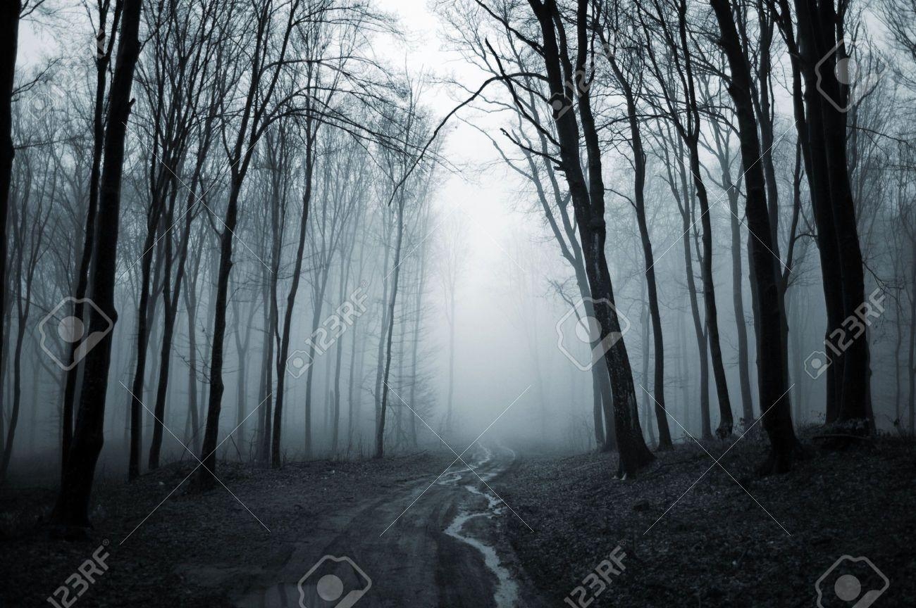 1300x870 Creepy Forest Wallpaper 1600×1200 Creepy Forest Background 35, Desktop