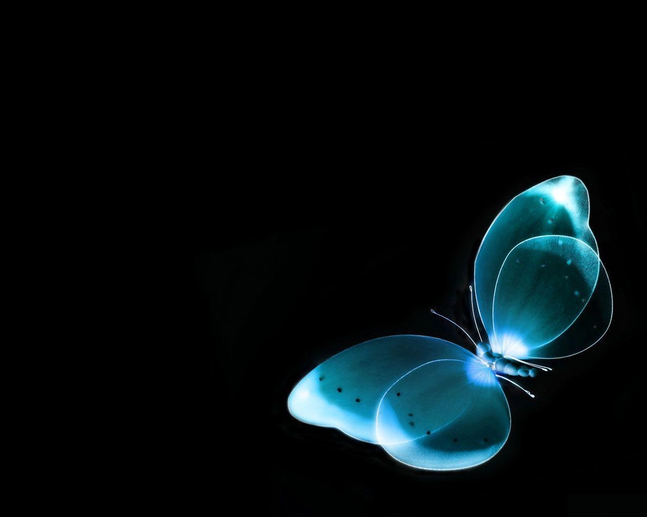 1280x1030 Most Beautiful Butterflies Wallpaper, Desktop