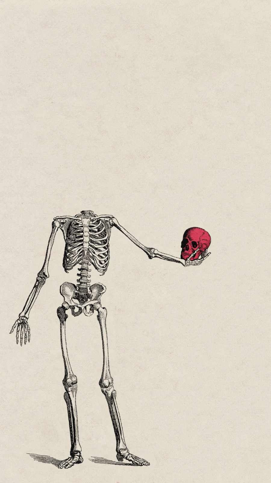 900x1600 Skeleton Art iPhone Wallpaper, Phone