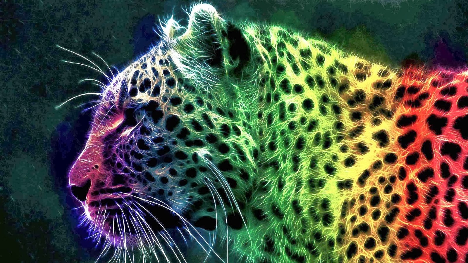 1600x900 Rainbow Cheetah Wallpaper, Desktop