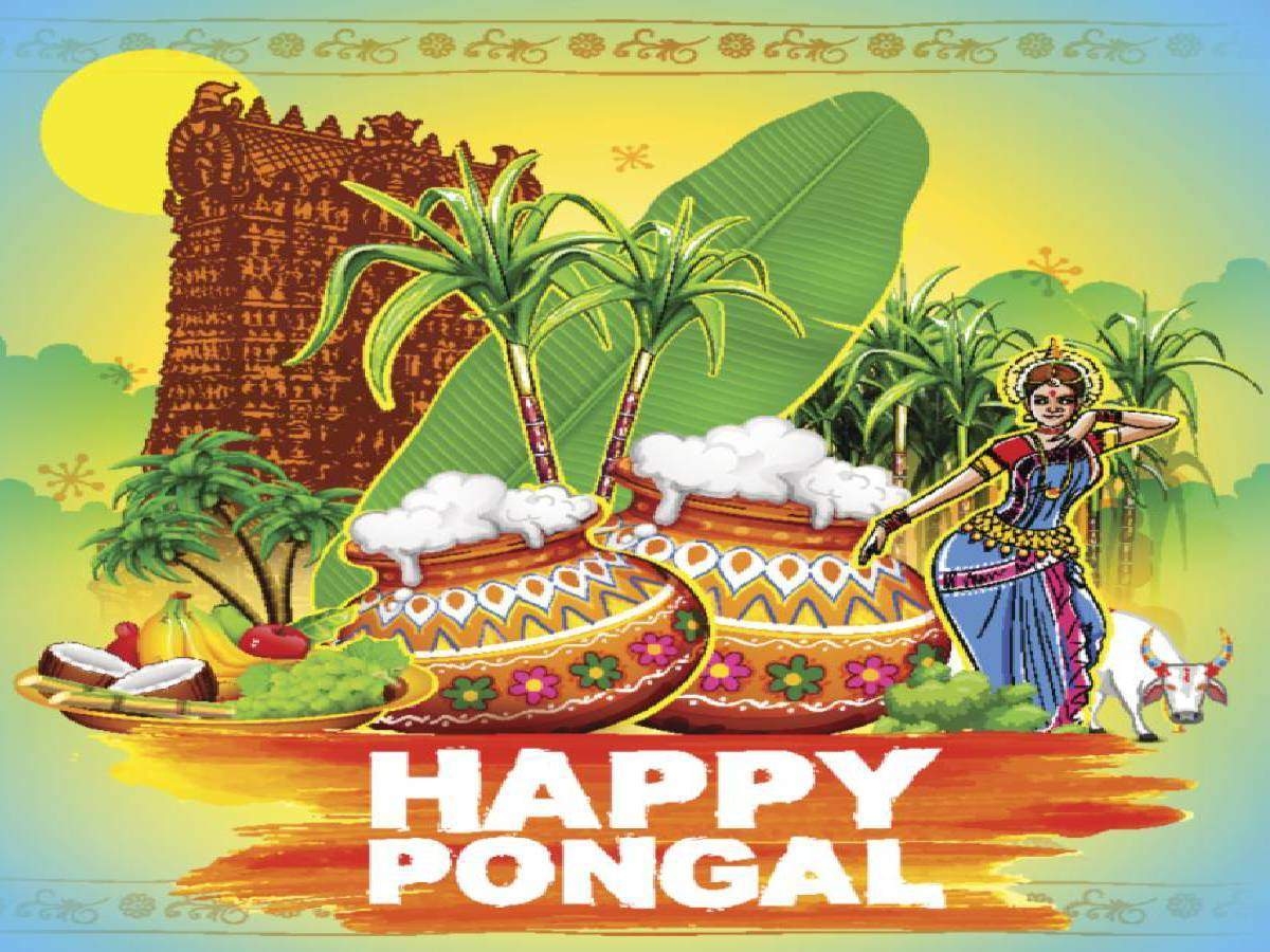 1200x900 Happy Pongal 2021: Image, Wishes, Messages, Quotes, Cards, Greetings, Picture, GIFs and Wallpaper of India, Desktop