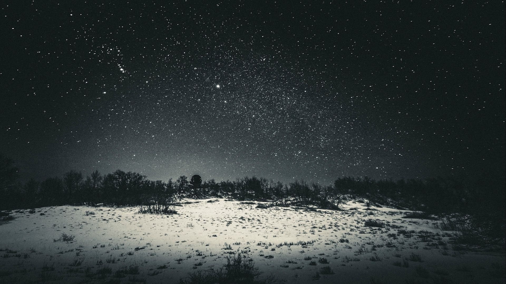 1920x1080 snow, Sky, Night, Dark, Black, Stars, Trees, Landscape Wallpaper, Desktop