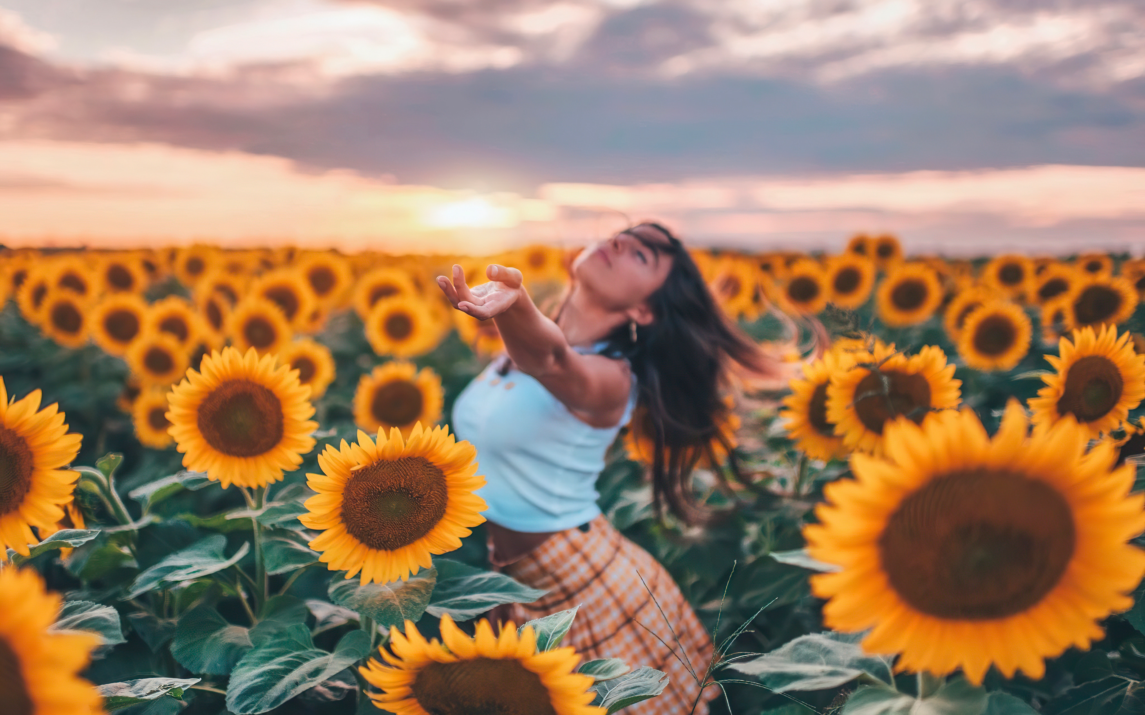 3840x2400 Girl in field of sunflowers Wallpaper 4k Ultra HD, Desktop