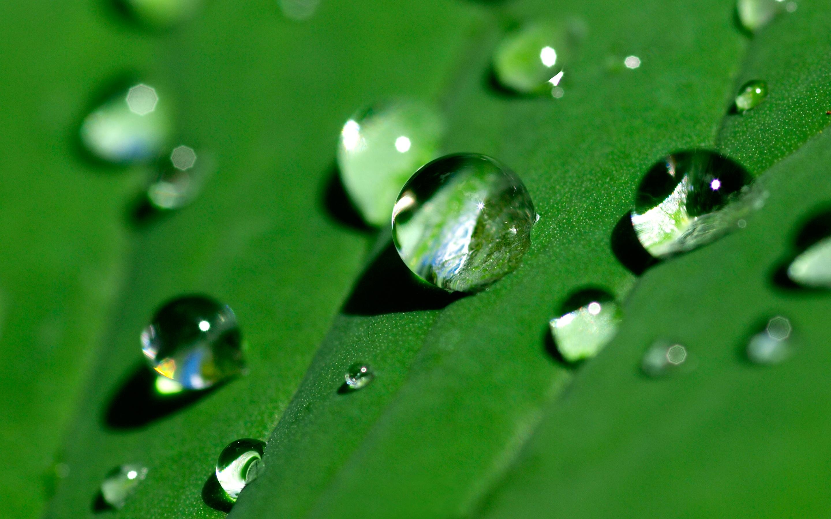 2880x1800 Water Drop Wallpaper. Water Drop Background, Desktop