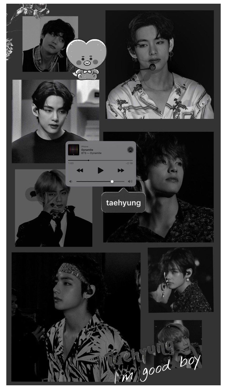 870x1480 Taehyung Black And White Aesthetic Wallpaper, Phone