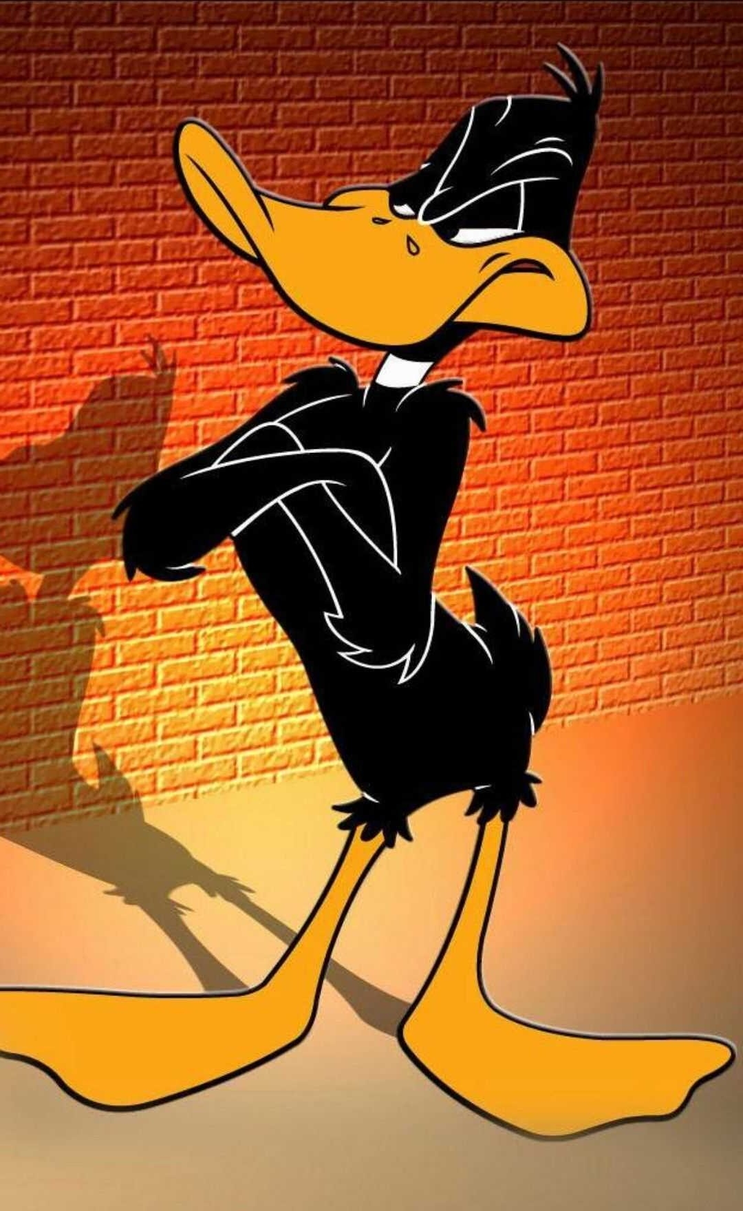 1080x1760 Looney Tunes Wallpaper, Phone