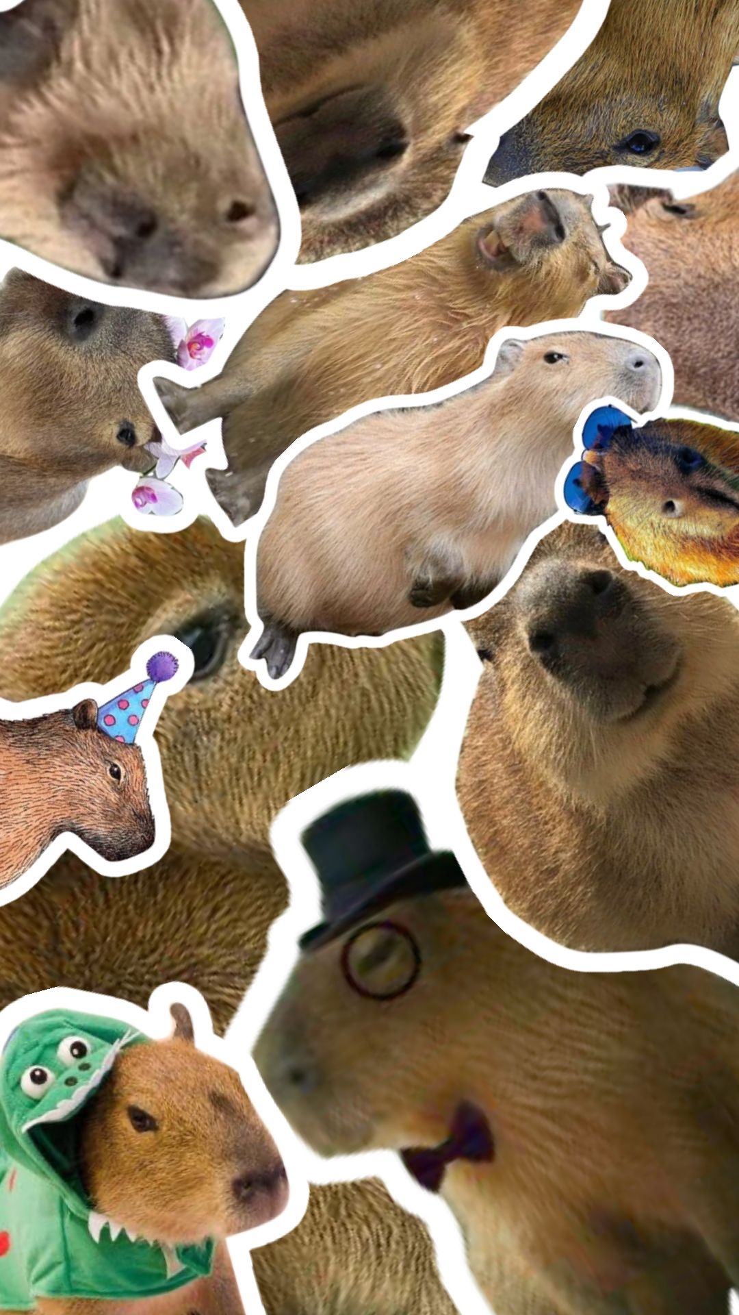 1080x1920 Cute Capybara Collage Wallpaper, Phone