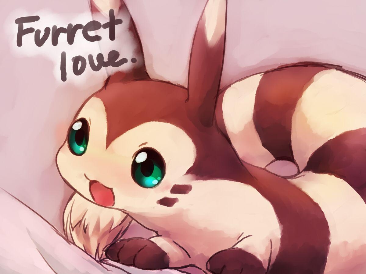 1200x900 Furret Is Love, Furret Is Life. Pokémon, Desktop