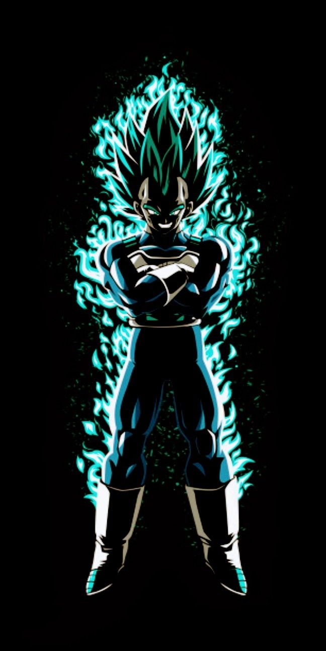 650x1300 Vegeta Wallpaper, Phone