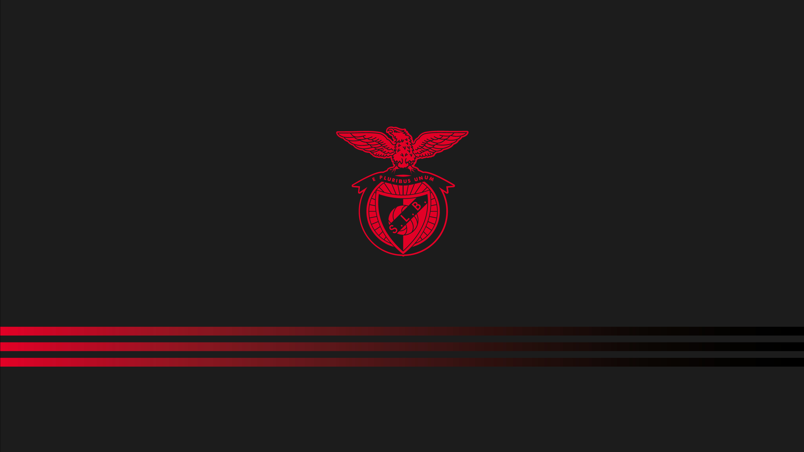 2560x1440 SL Benfica Wallpaper. SL Benfica Wallpaper, Portugal Benfica Wallpaper and Benfica Wallpaper, Desktop