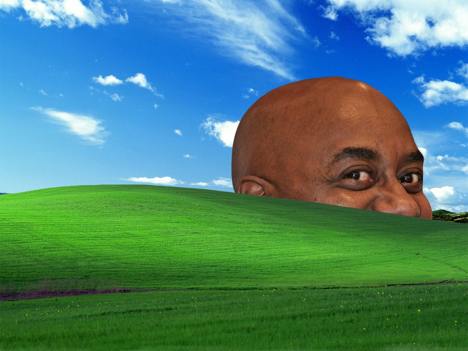 1600x1200 Ainsley Bliss. Windows XP Bliss Wallpaper. Laptop wallpaper desktop wallpaper, Meme background, Desktop wallpaper, Desktop