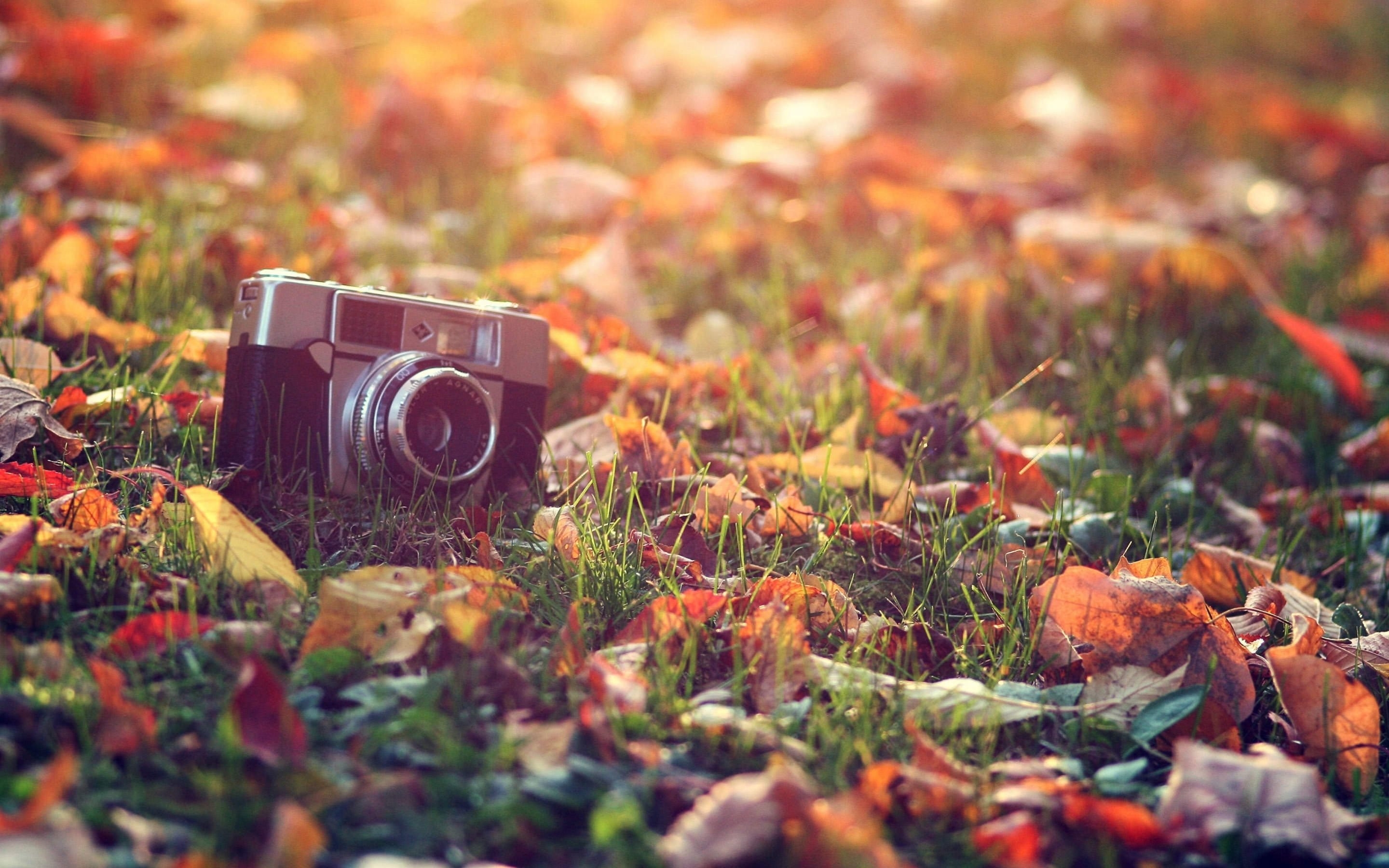 2880x1800 FREE Vintage Photography Desktop Wallpaper in PSD, Desktop