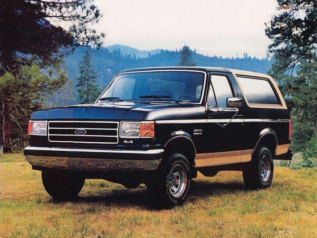 1030x770 Ford Bronco Wallpaper 7 X 768, Desktop