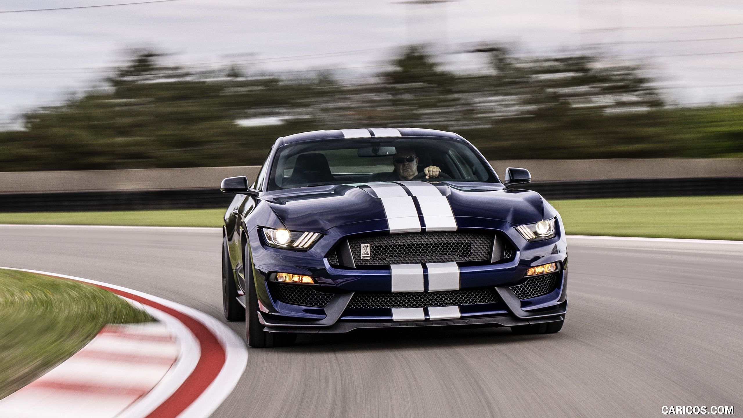 2560x1440 Ford Mustang Shelby GT350. HD Wallpaper, Desktop