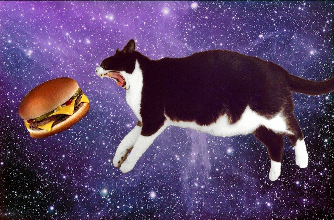 1110x730 Cats In Space Wallpaper, Desktop