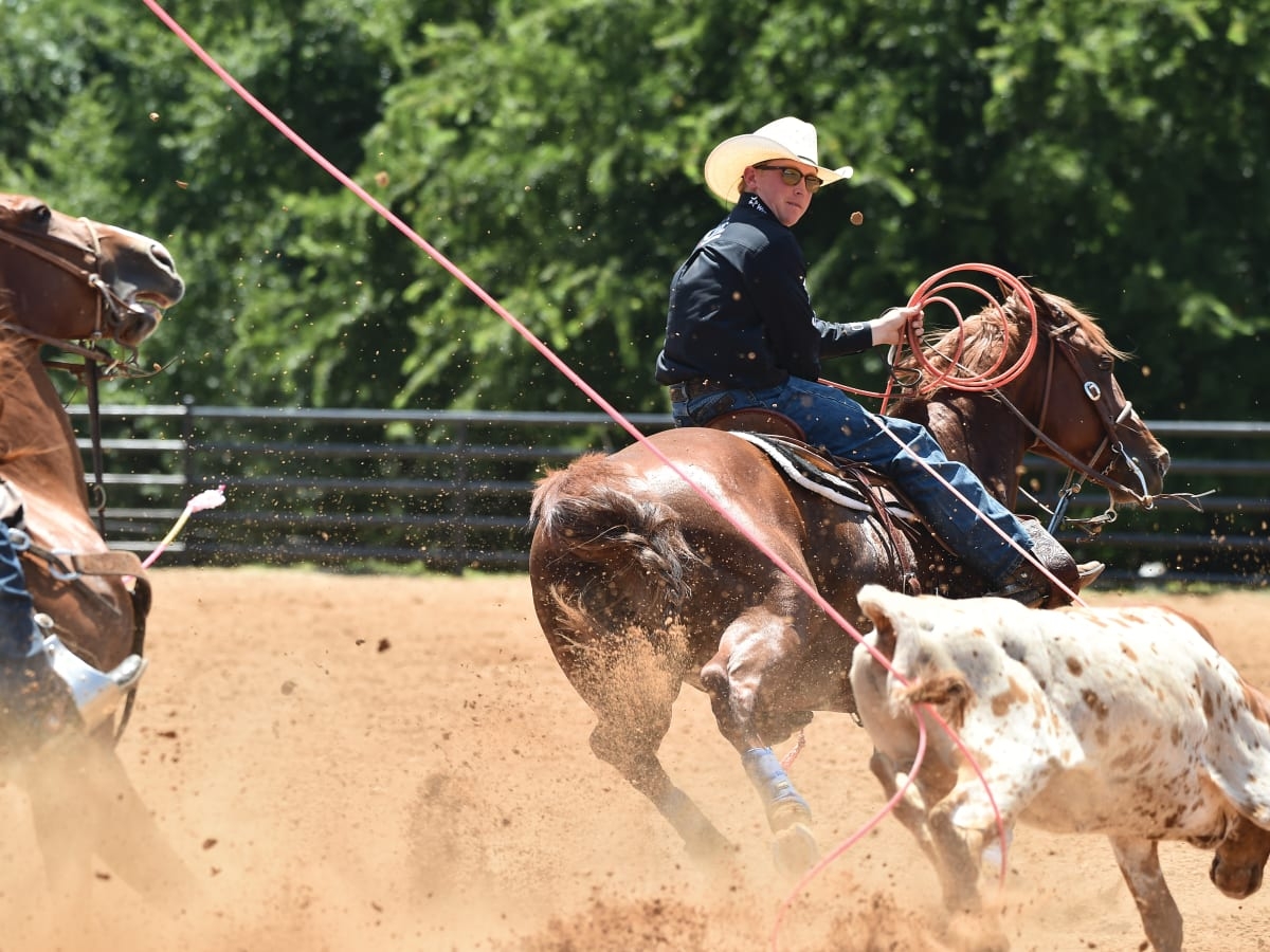 1200x900 Heading, from a Heeler's Point of View with Clint Summers Team Roping Journal, Desktop