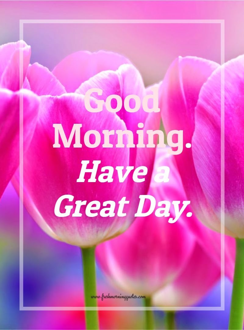 800x1080 Beautiful Good Morning Image with Flowers, Phone