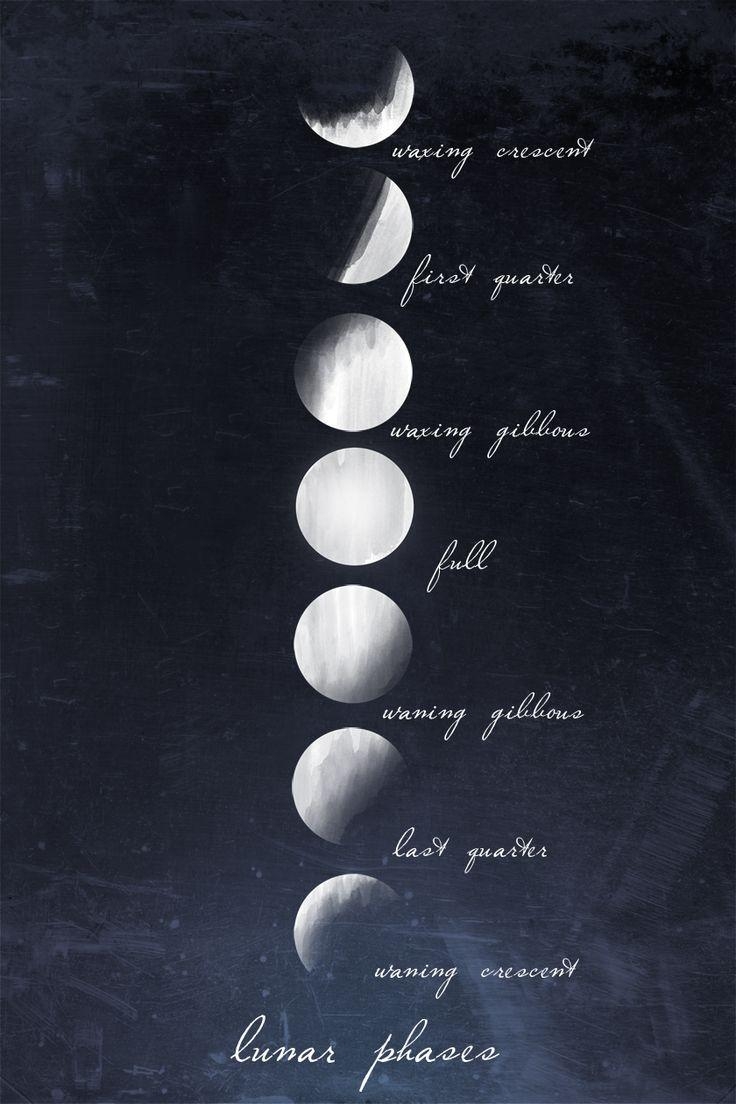 740x1110 px Phases of the Moon Wallpaper, Phone