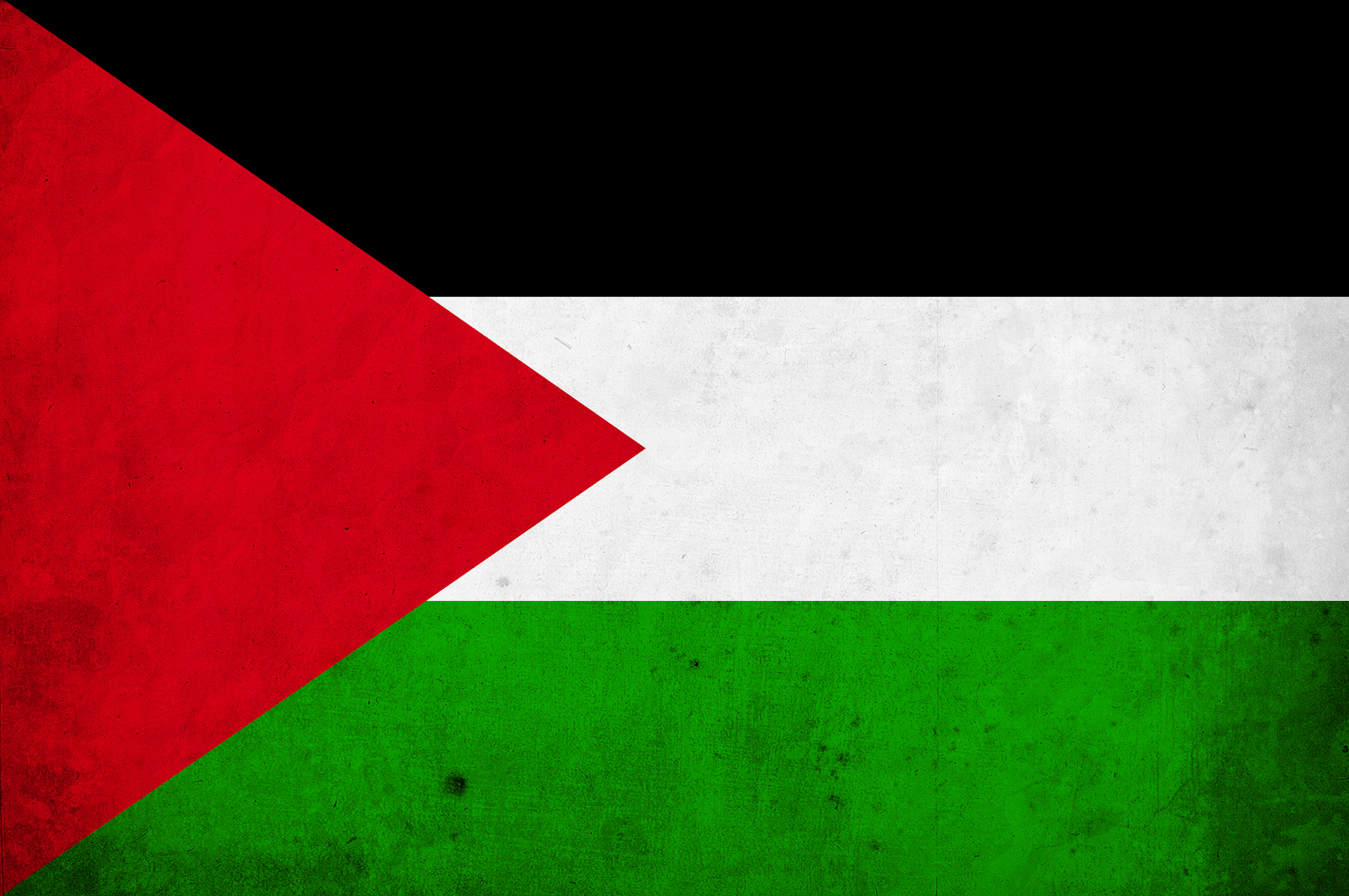 1600x1070 Palestine flag png HD picture 3000x4515 px. Png Vectors, Photo, Desktop