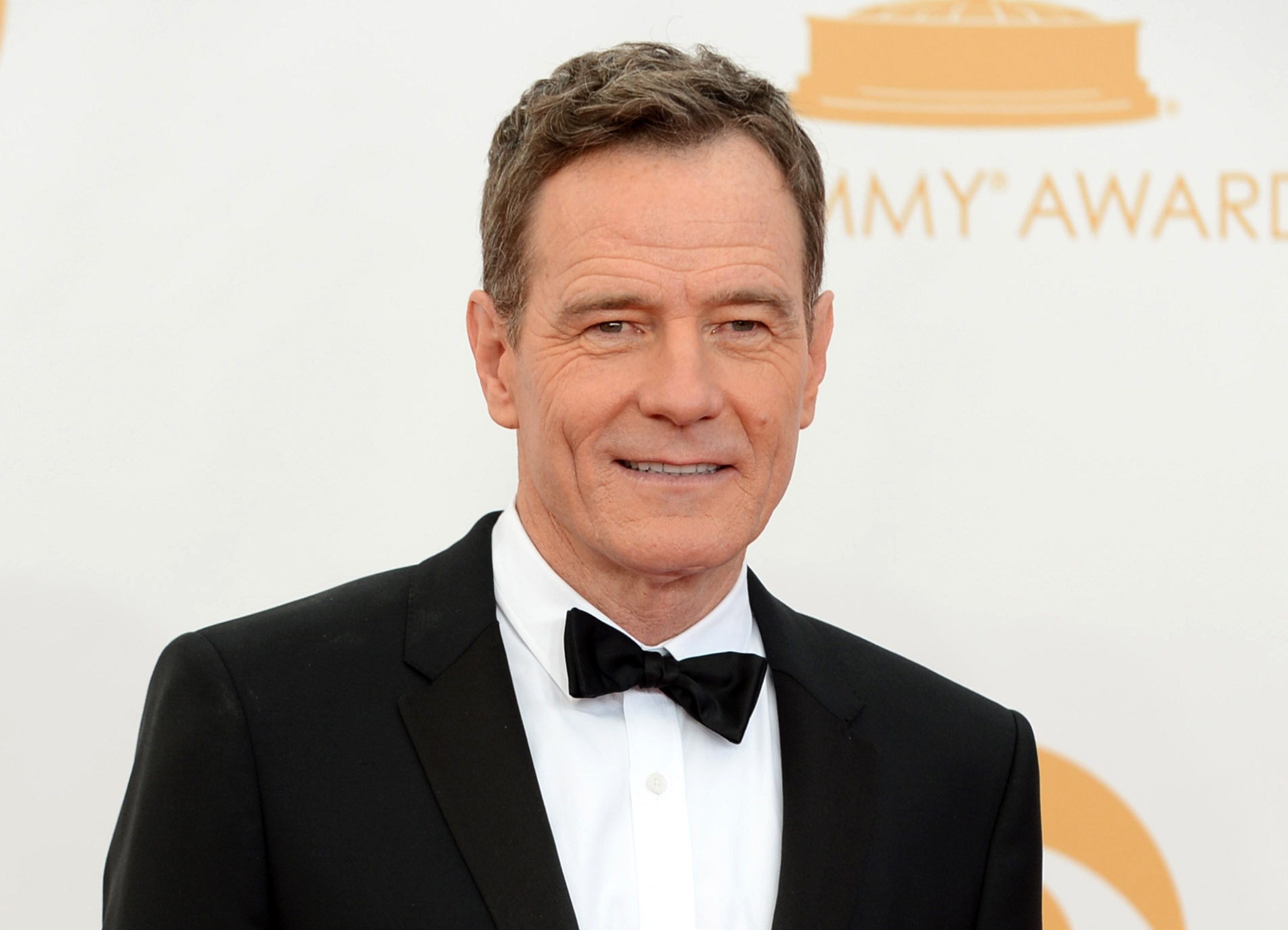 3000x2170 Picture of Bryan Cranston Of Celebrities, Desktop