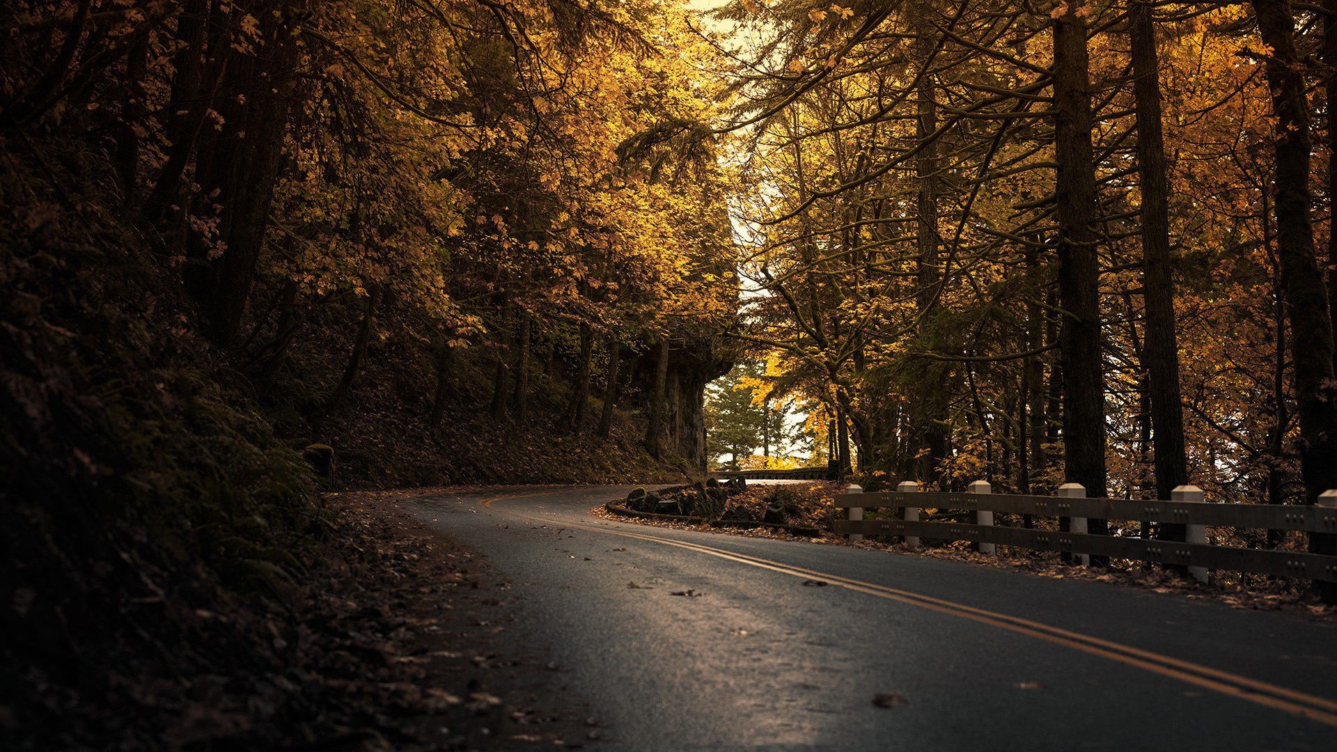 1920x1080 Wallpaper. Golden autumn. photo. picture. road, dark, autumn, tree, leaves, Desktop