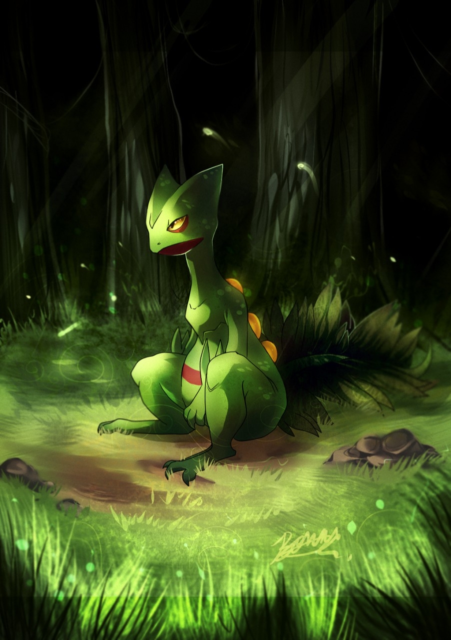 910x1280 Sceptile Sceptile Fan Ary Wallpaper & Background Download, Phone