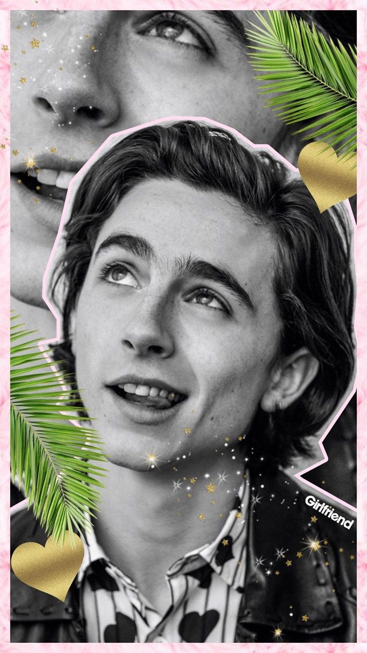 720x1280 Wallpaper Wednesdays! This week: regulation hottie Timothée Chalamet, Phone