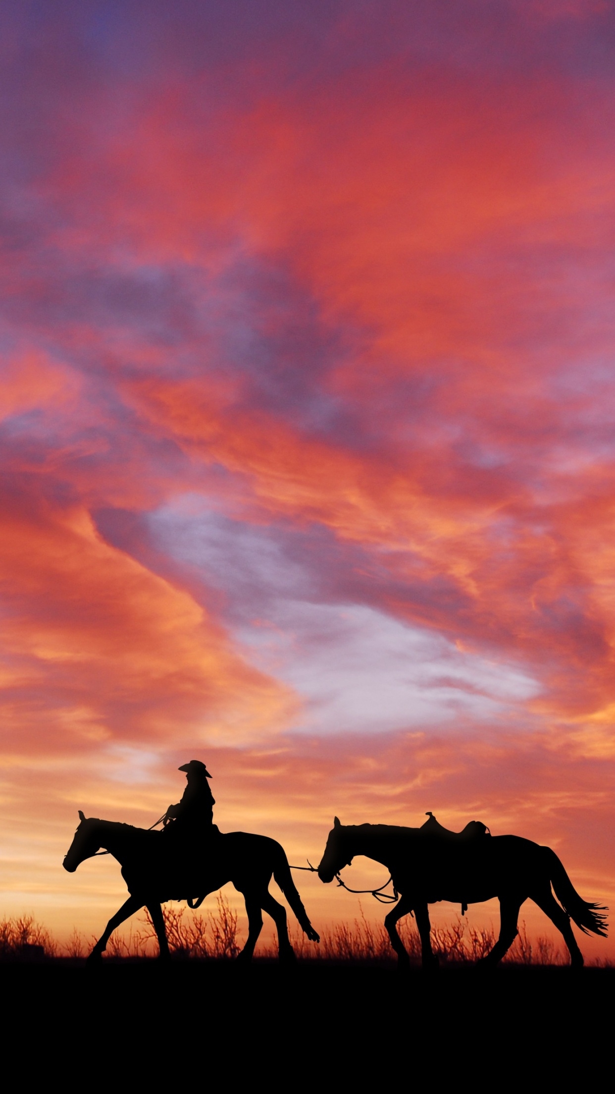 1250x2210 Cowboy Wallpaper 4K, Horses, Silhouette, Dawn, Sunset, Phone