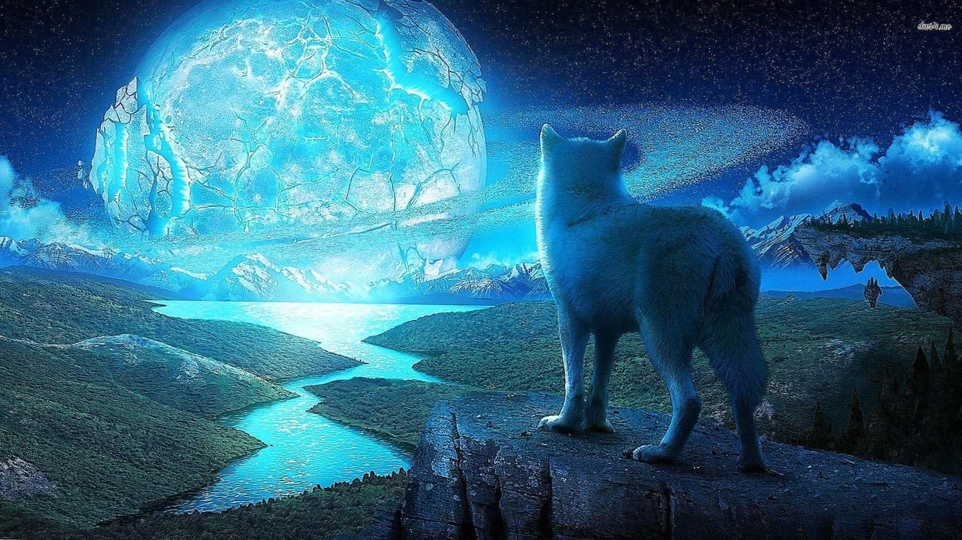 1880x1060 Wolf And Moon Wallpaper HD, Desktop