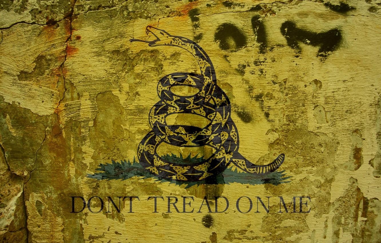 1340x850 Wallpaper snake, Metallica, Don't Tread on Me image for desktop, Desktop