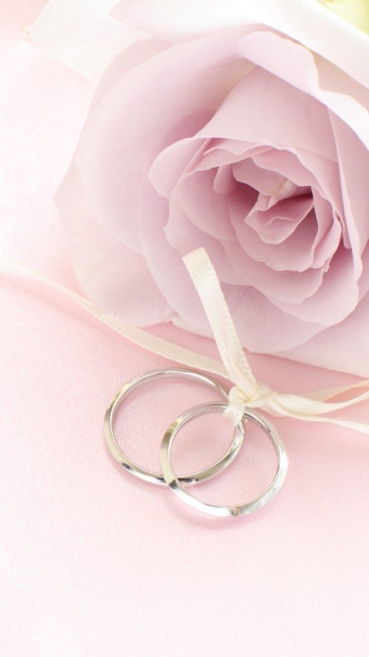 750x1340 Free download Pink Rose with Rings Wallpaper iPhone Wallpaper, Phone