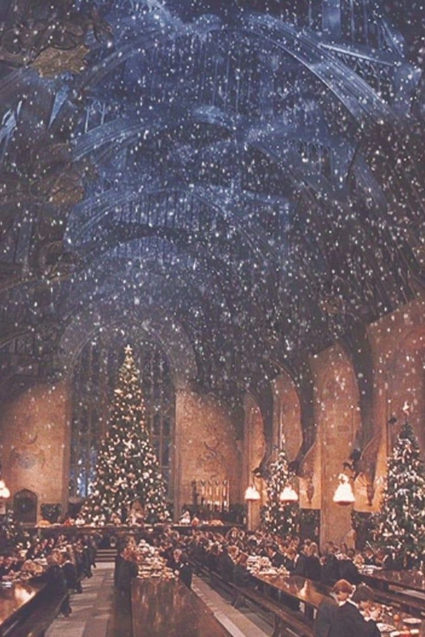 840x1260 Harry Potter Christmas Wallpaper HD Wallpaper, Phone