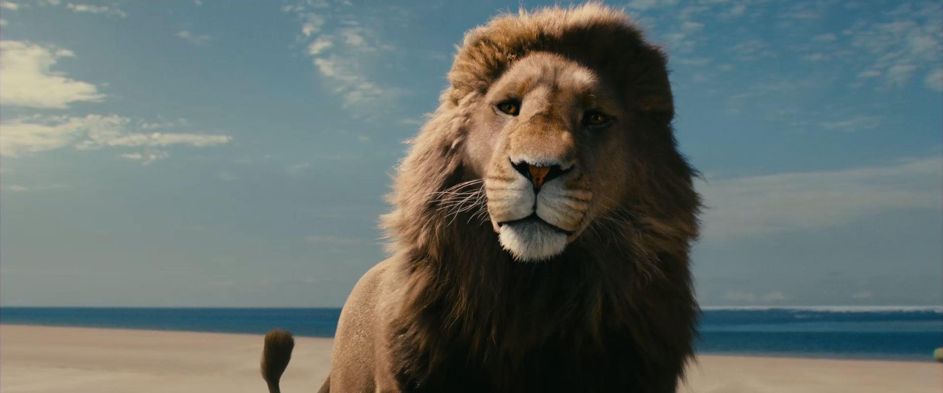 1920x800 Aslan the Lion from the Movie The Chronicles of Narnia Voyage, Dual Screen