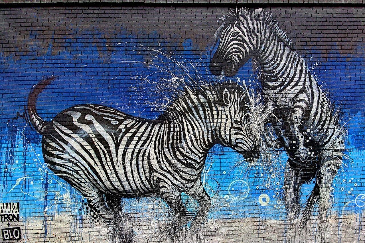 1280x860 Picture Zebras 2 Graffiti Wall Animals, Desktop