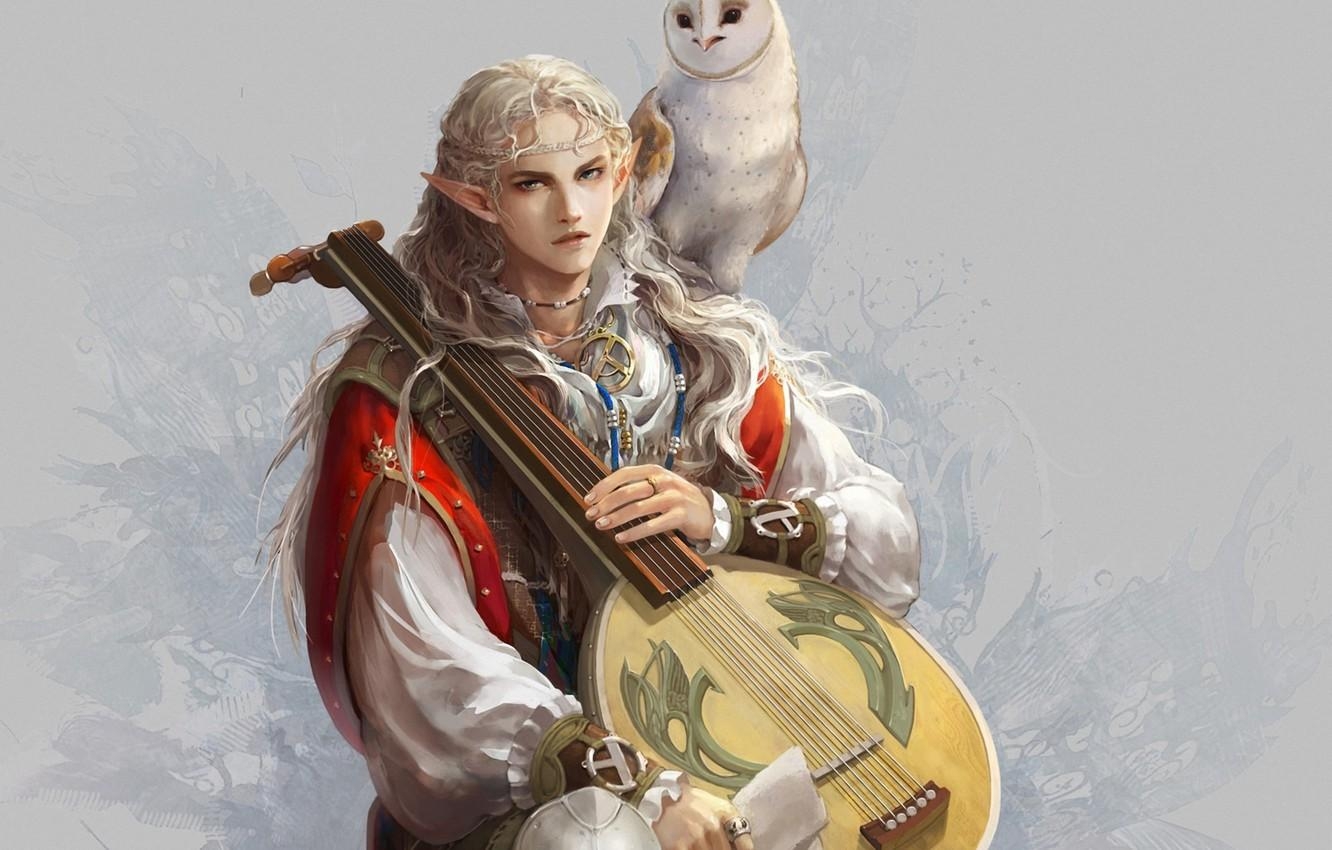 1340x850 Wallpaper owl, bird, elf, art, guy, ears, bard, lute image, Desktop