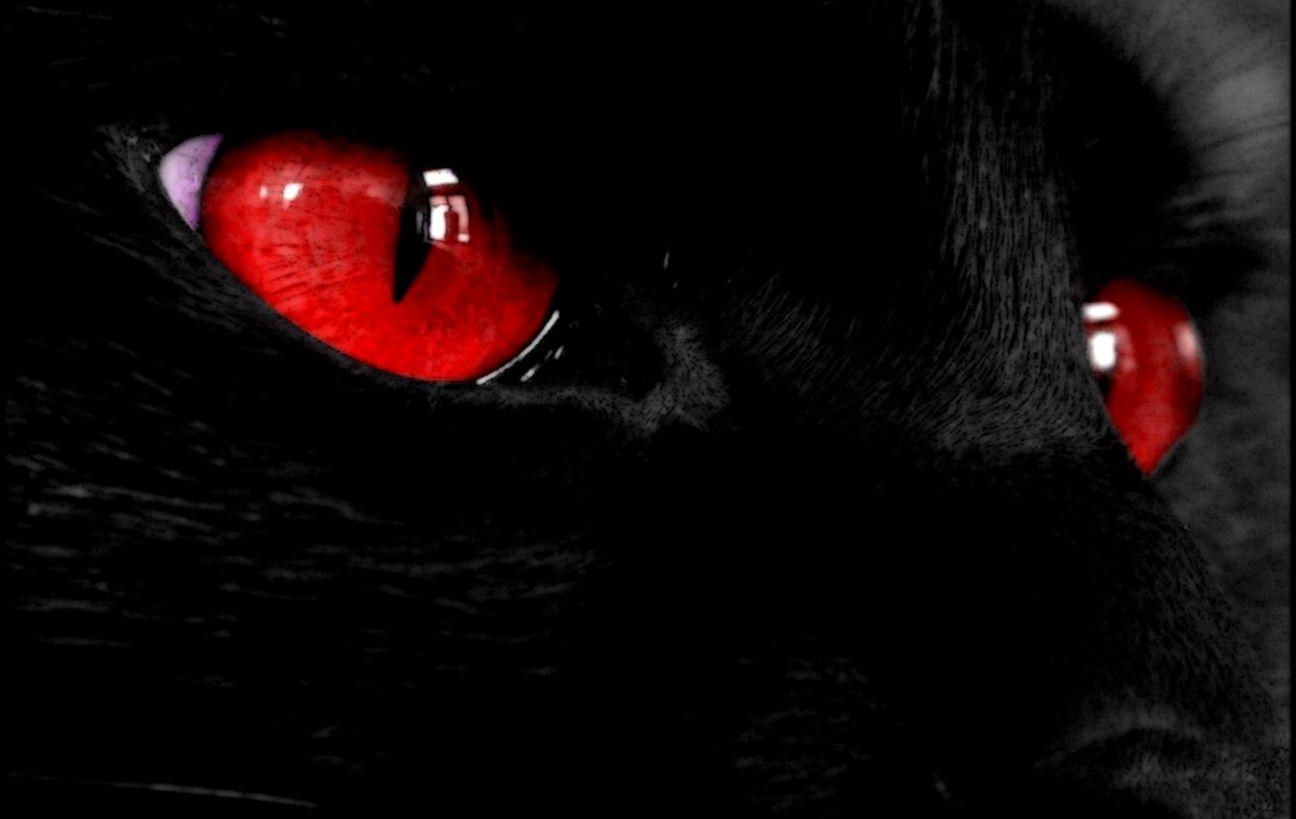 1300x820 Black Cat Red Eyes HD Wallpaper, Desktop