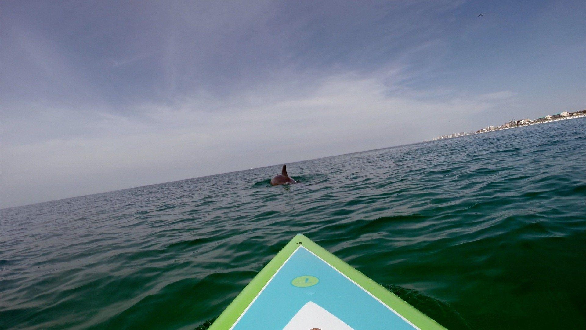 1920x1080 Paddle Boarding in Destin Florida, Desktop