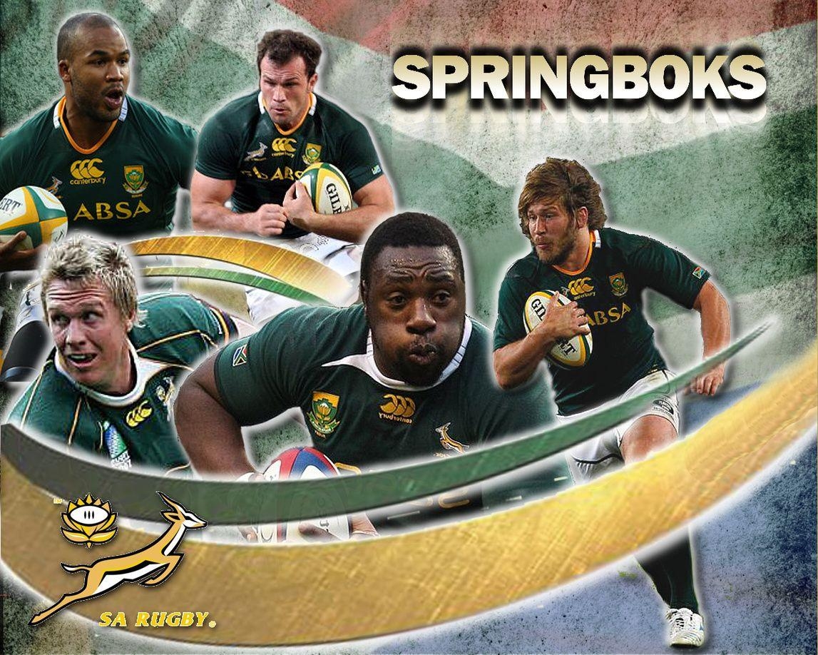 1150x920 Springboks Download HD Wallpaper and Free Image, Desktop