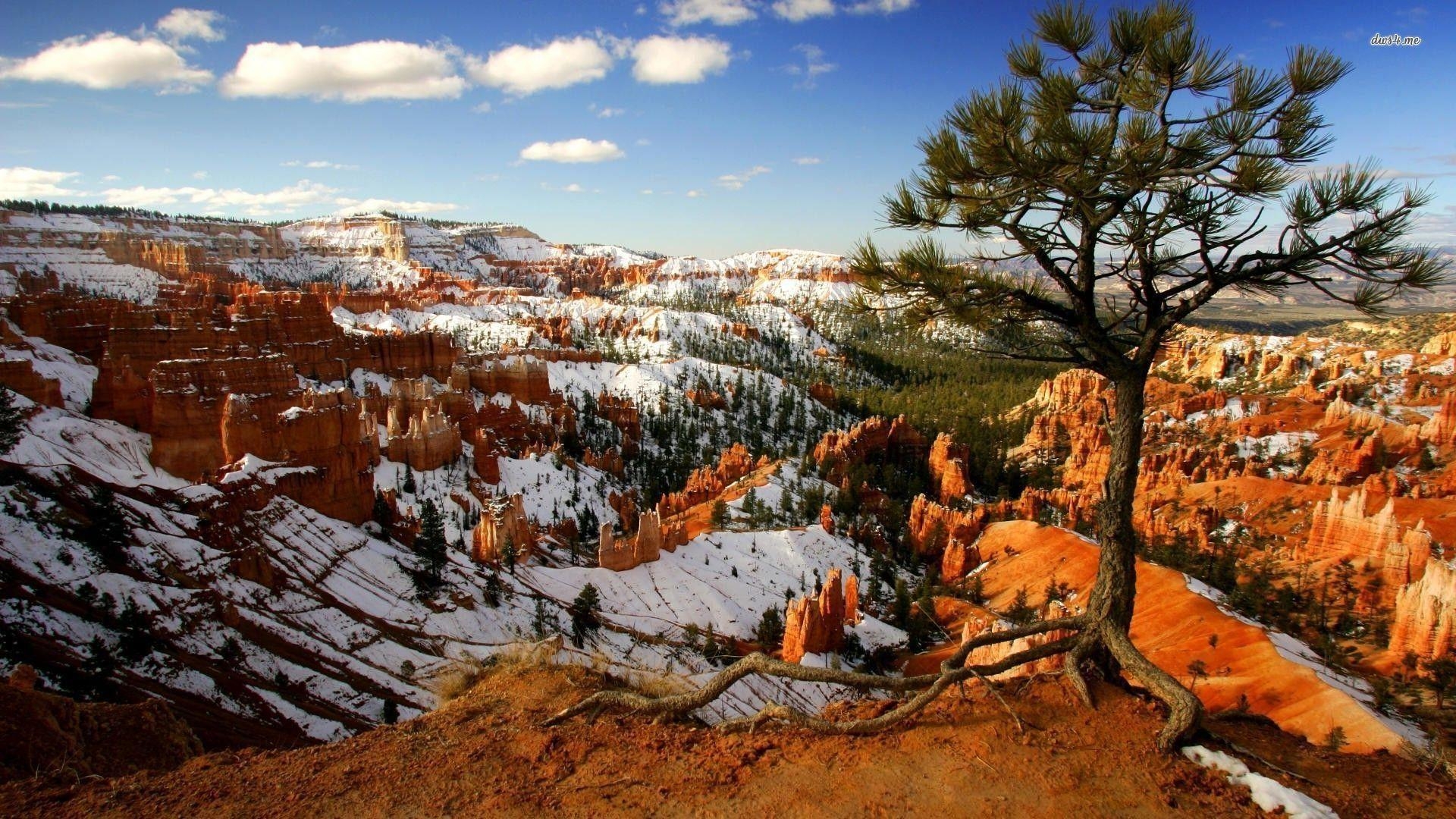 1920x1080 Snow In Bryce Canyon National Park, Desktop