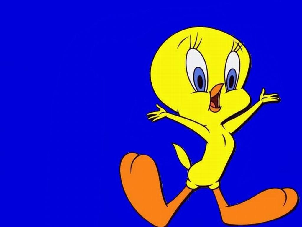 1030x770 All about Tweety, Desktop