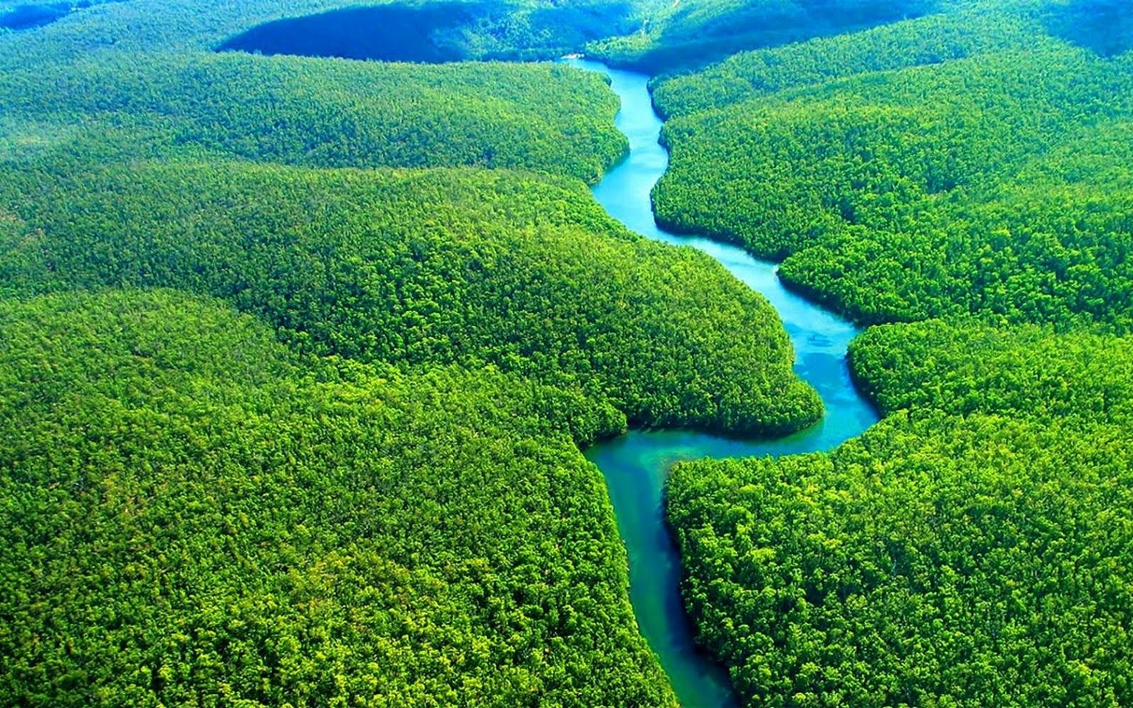 1600x1000 Amazon Rainforest HD Wallpaper, Desktop