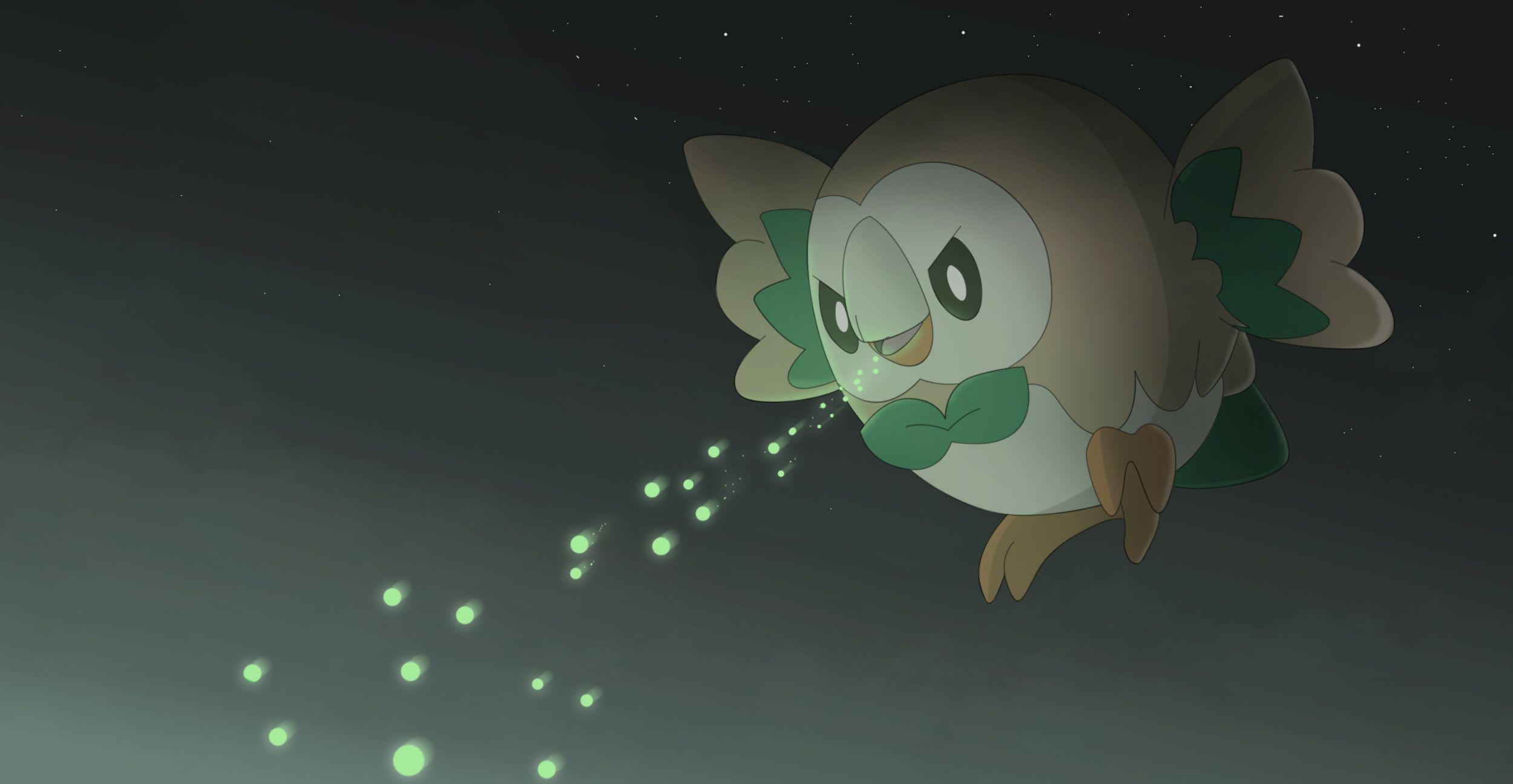 2500x1300 Rowlet HD Wallpaper, Desktop