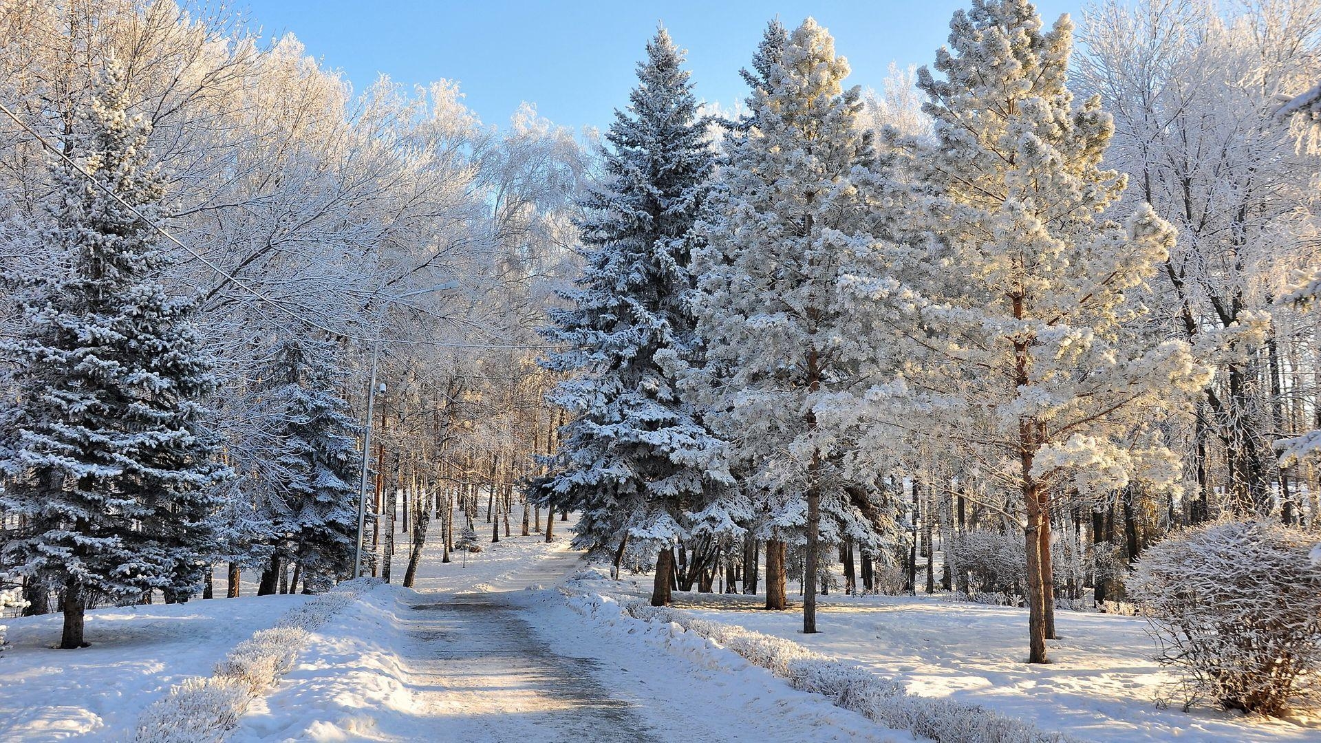 1920x1080 Beautiful snowy Russian winter (HD wallpaper), Desktop