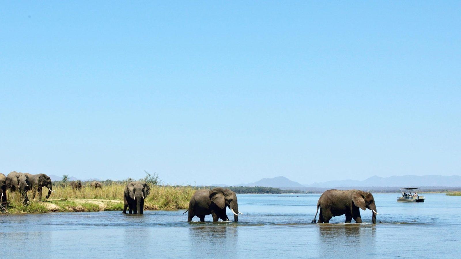 1600x900 Navigate the Zambezi River on a Tranquil Boat Cruise, Desktop