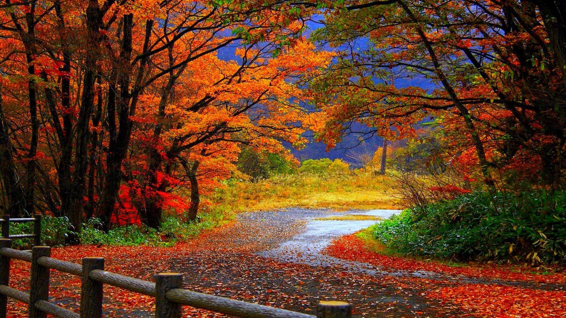 1920x1080 Fall Wallpaper HD make your desktop shine brighter, Desktop