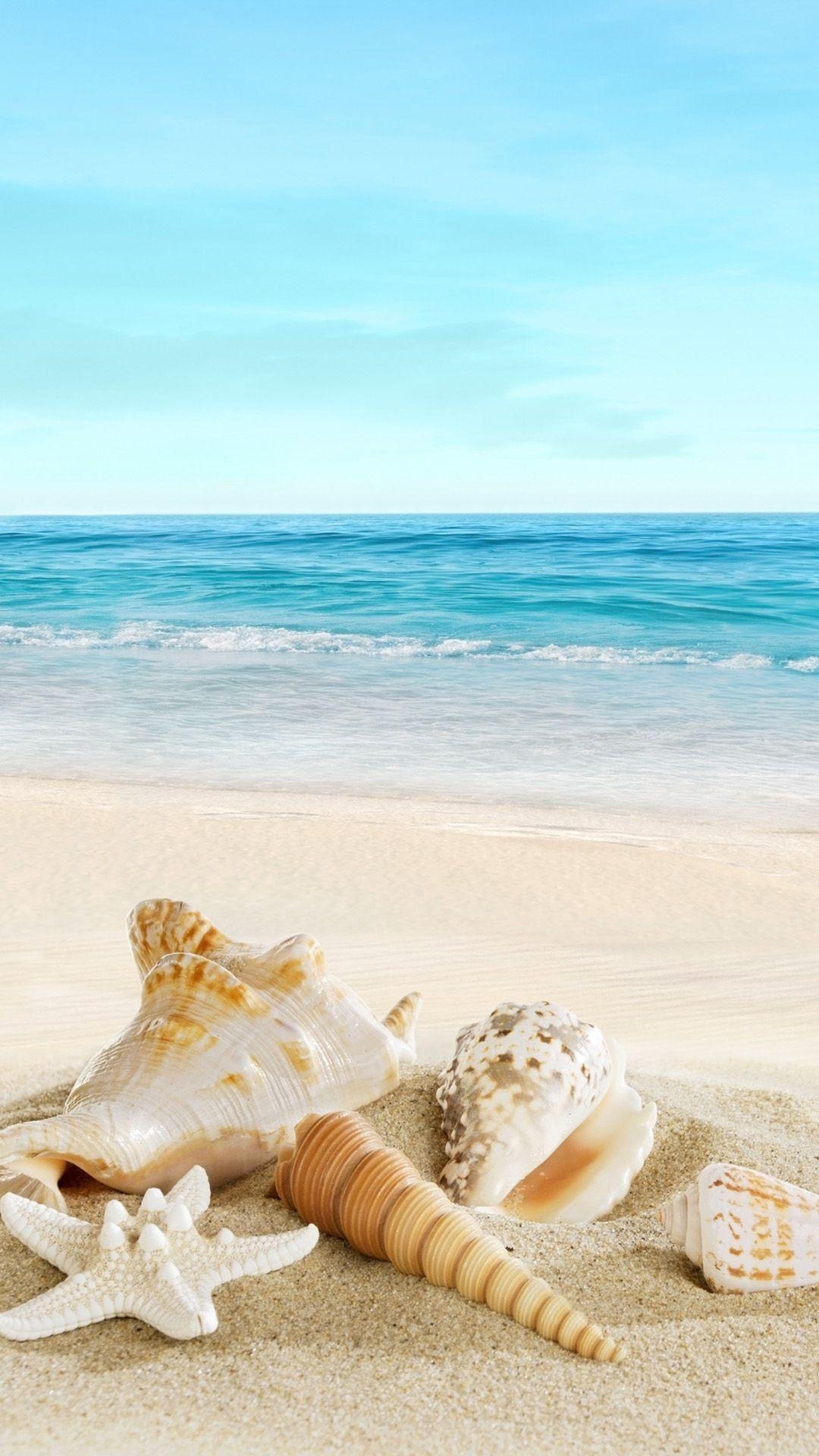 1080x1920 Nature Sunny Sea Shell Beach iPhone 6 wallpaper. Color, Phone