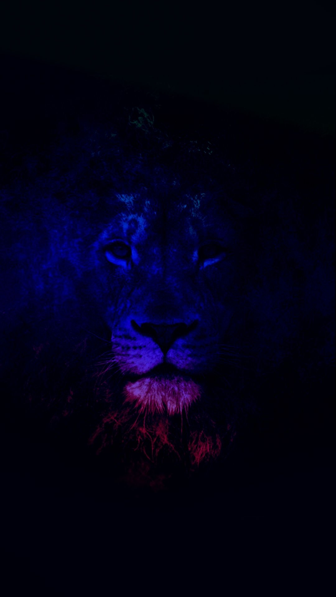 1080x1920 iPhone Galaxy Lion Wallpaper, Phone