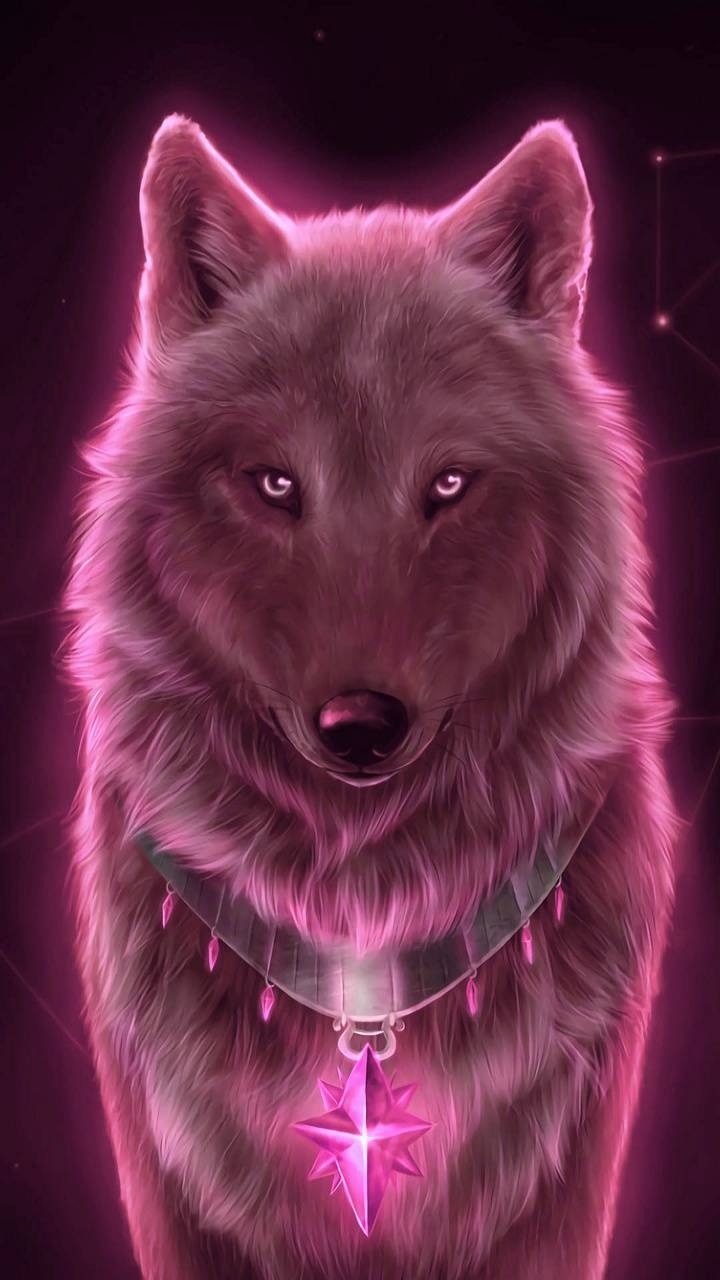 720x1280 Pink Wolf Wallpaper Free Pink Wolf Background, Phone