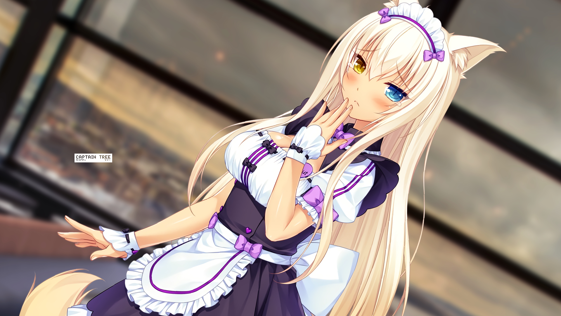 1920x1080  Anime, Nekopara, Uniform, Coconut (Nekopara), Yellow Eyes, Heterochromia, Blue Eyes wallpaper PNG HD Wallpaper, Desktop