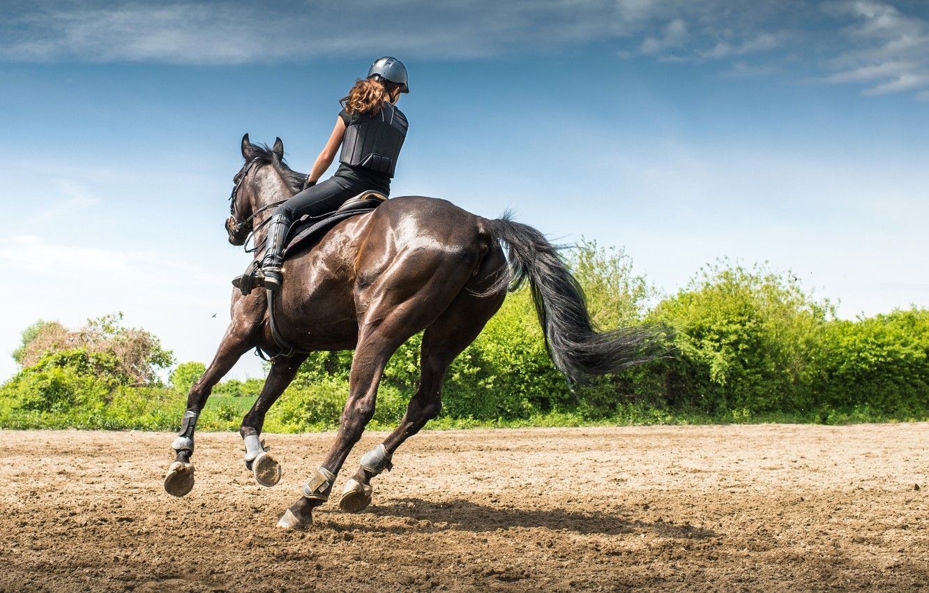 1340x850 Wallpaper Girl, Horse, Sport, Running, Rider, Horse Riding image for desktop, section спорт, Desktop